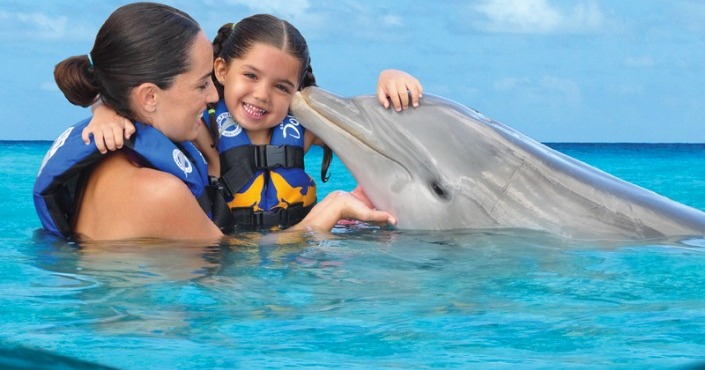Dolphin Encounter Puerto Vallarta